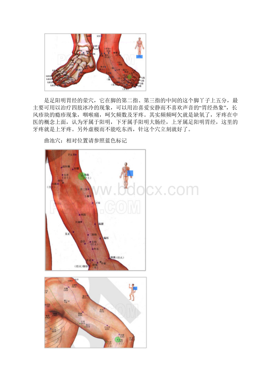 老祖宗留下的绝技天星十二穴图文精.docx_第3页