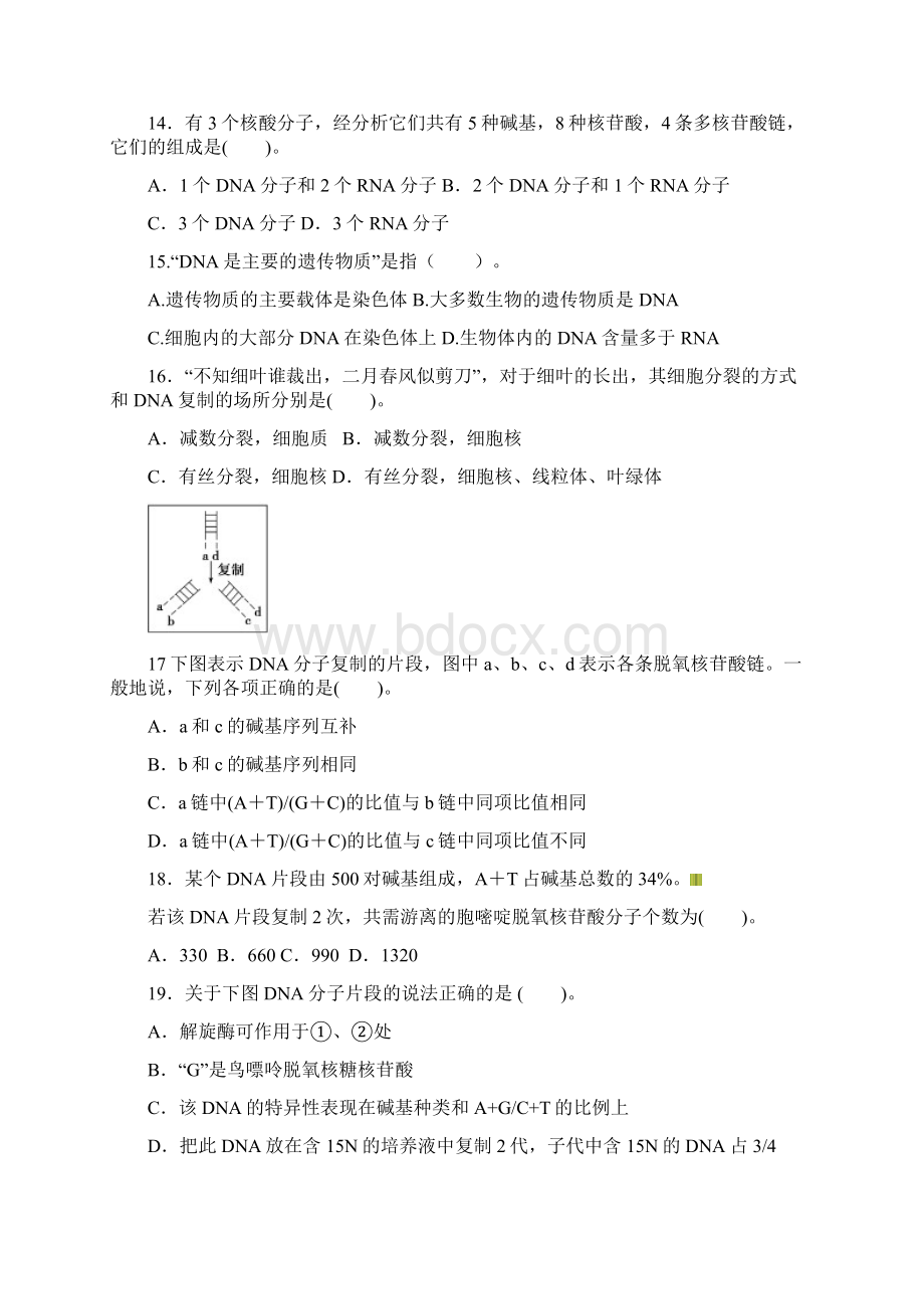 基因的本质单元测试题Word格式文档下载.docx_第3页