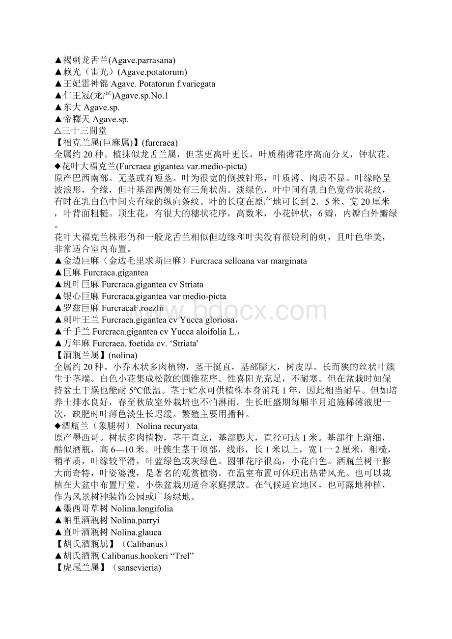 常见多肉植物分类.docx_第3页