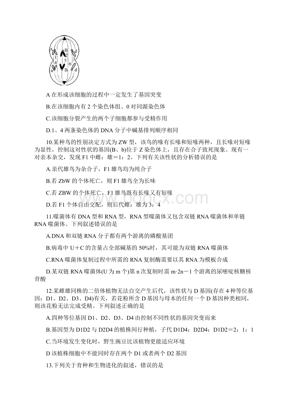 高三生物上学期联考试题Word下载.docx_第3页