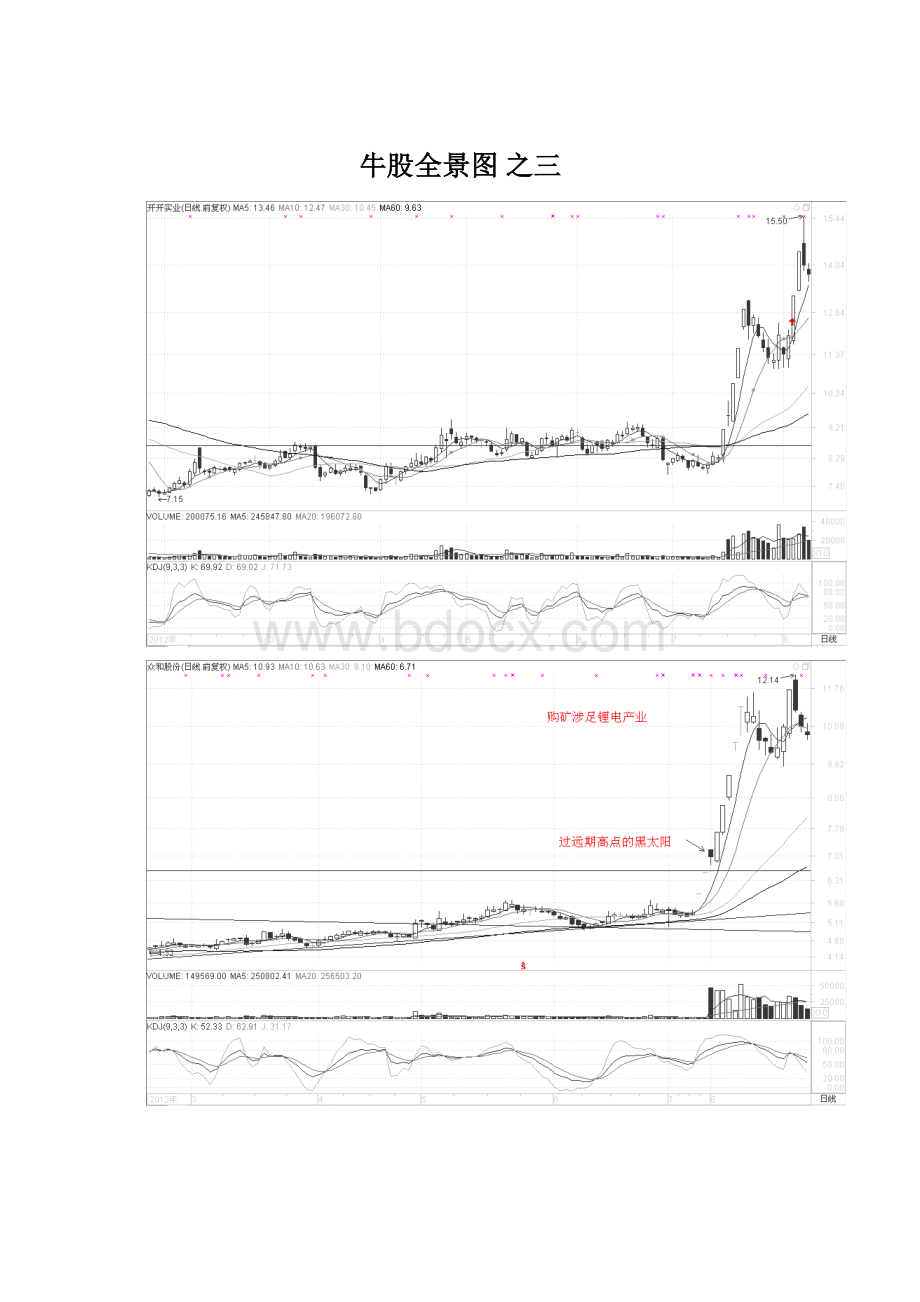 牛股全景图之三.docx
