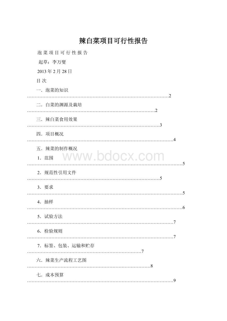 辣白菜项目可行性报告.docx_第1页