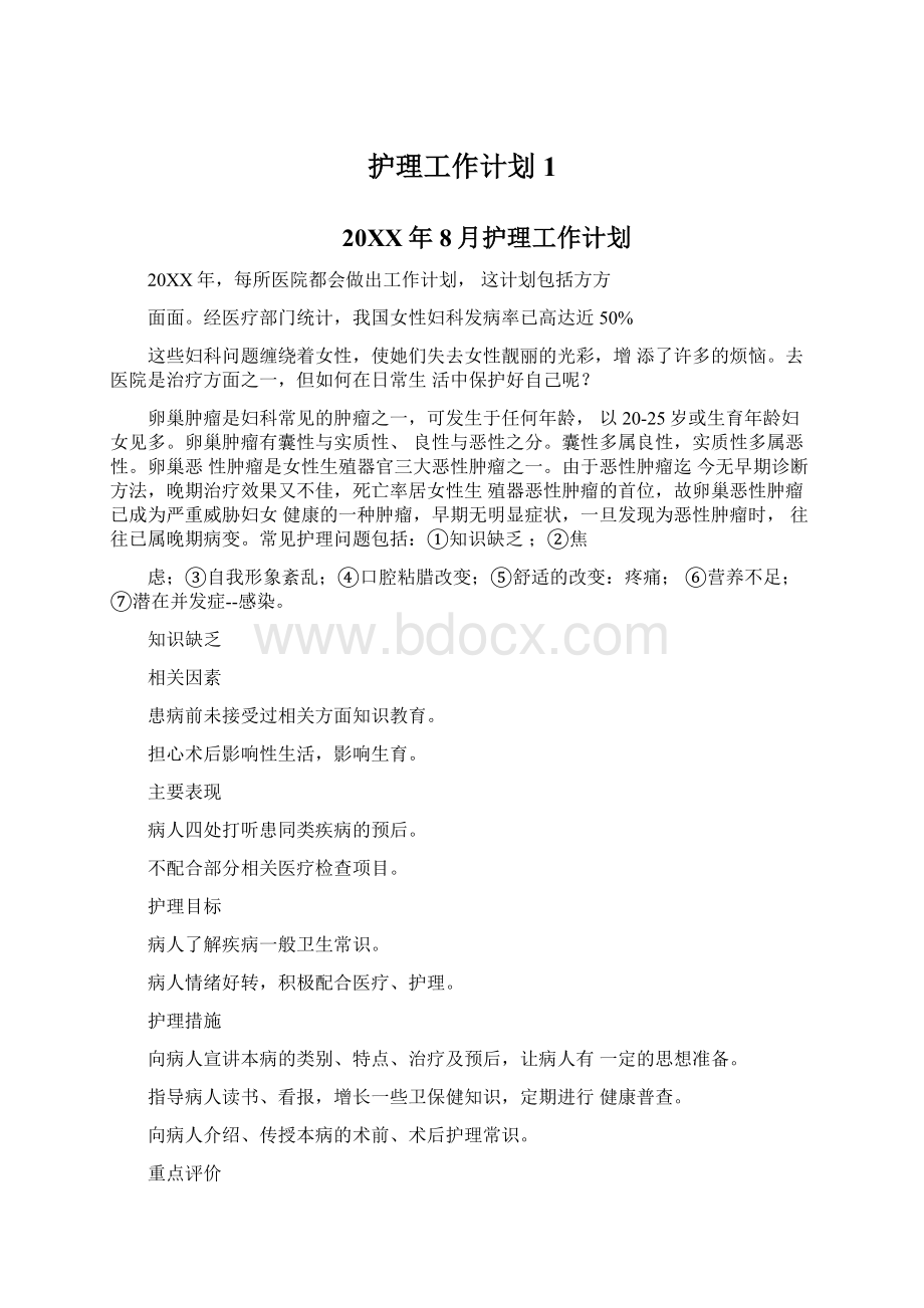 护理工作计划1.docx