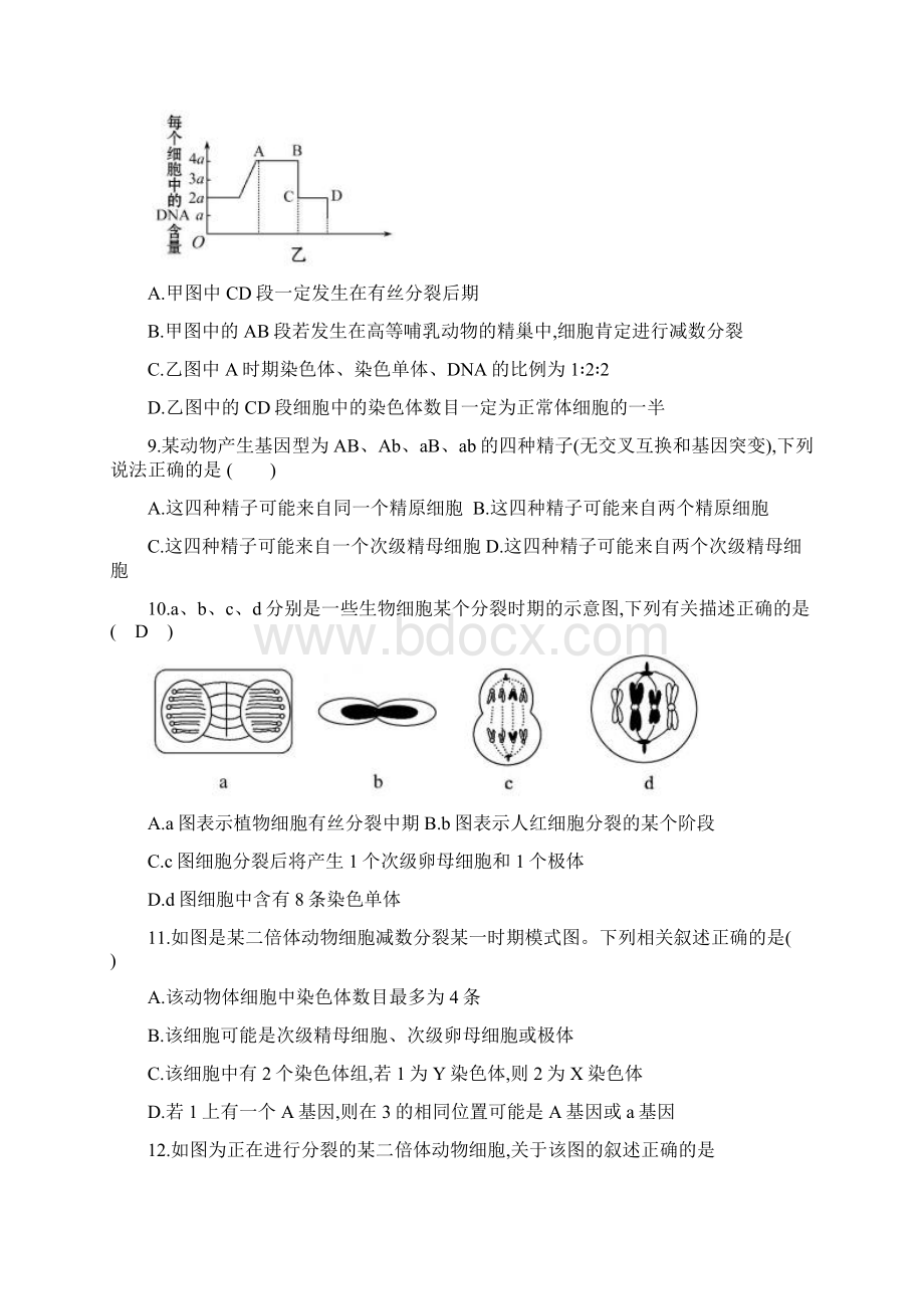 高考生物一轮复习《第二章 基因和染色体的关系》单元综合测试 新人教版必修2Word文档下载推荐.docx_第3页