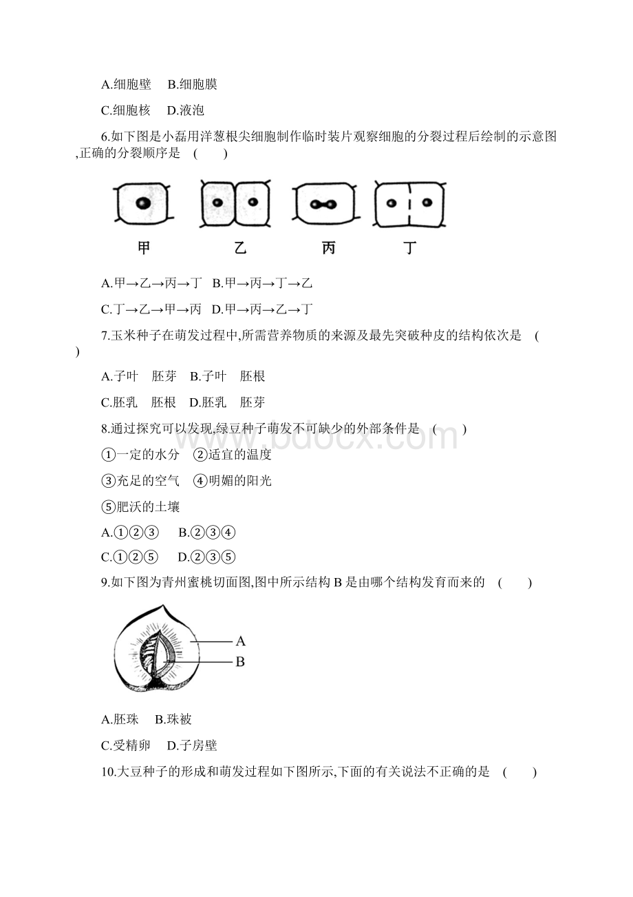 苏教版七年级上学期期末综合检测一解析版.docx_第2页