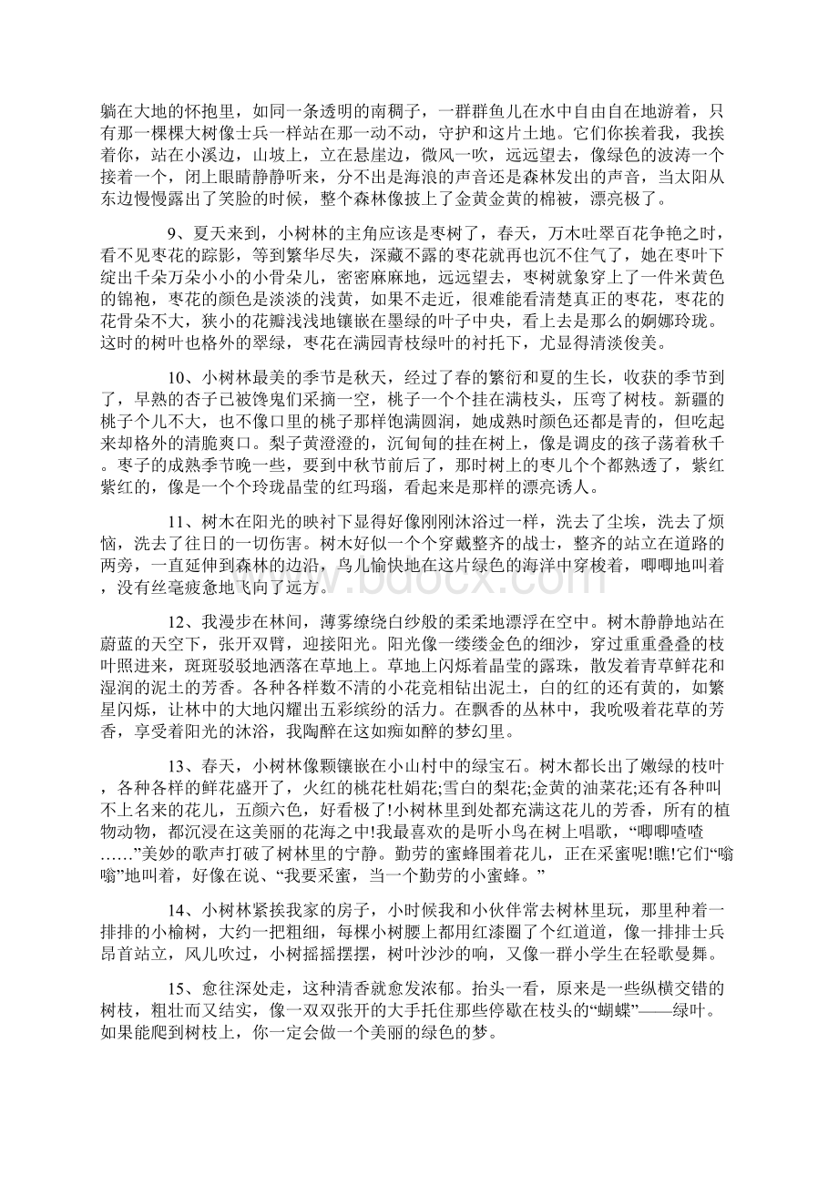 关于森林的感言句子.docx_第2页