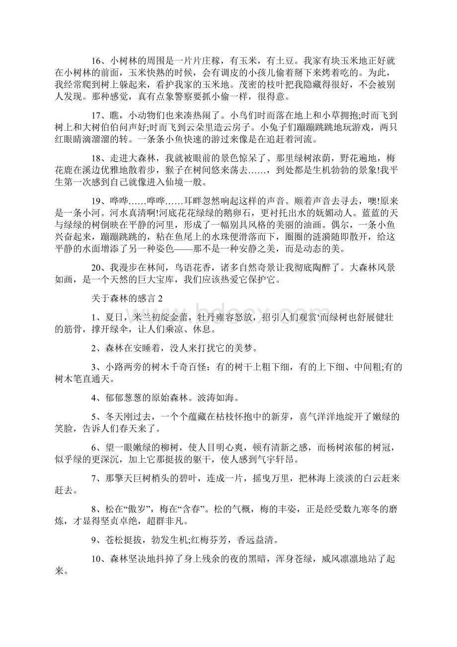 关于森林的感言句子.docx_第3页