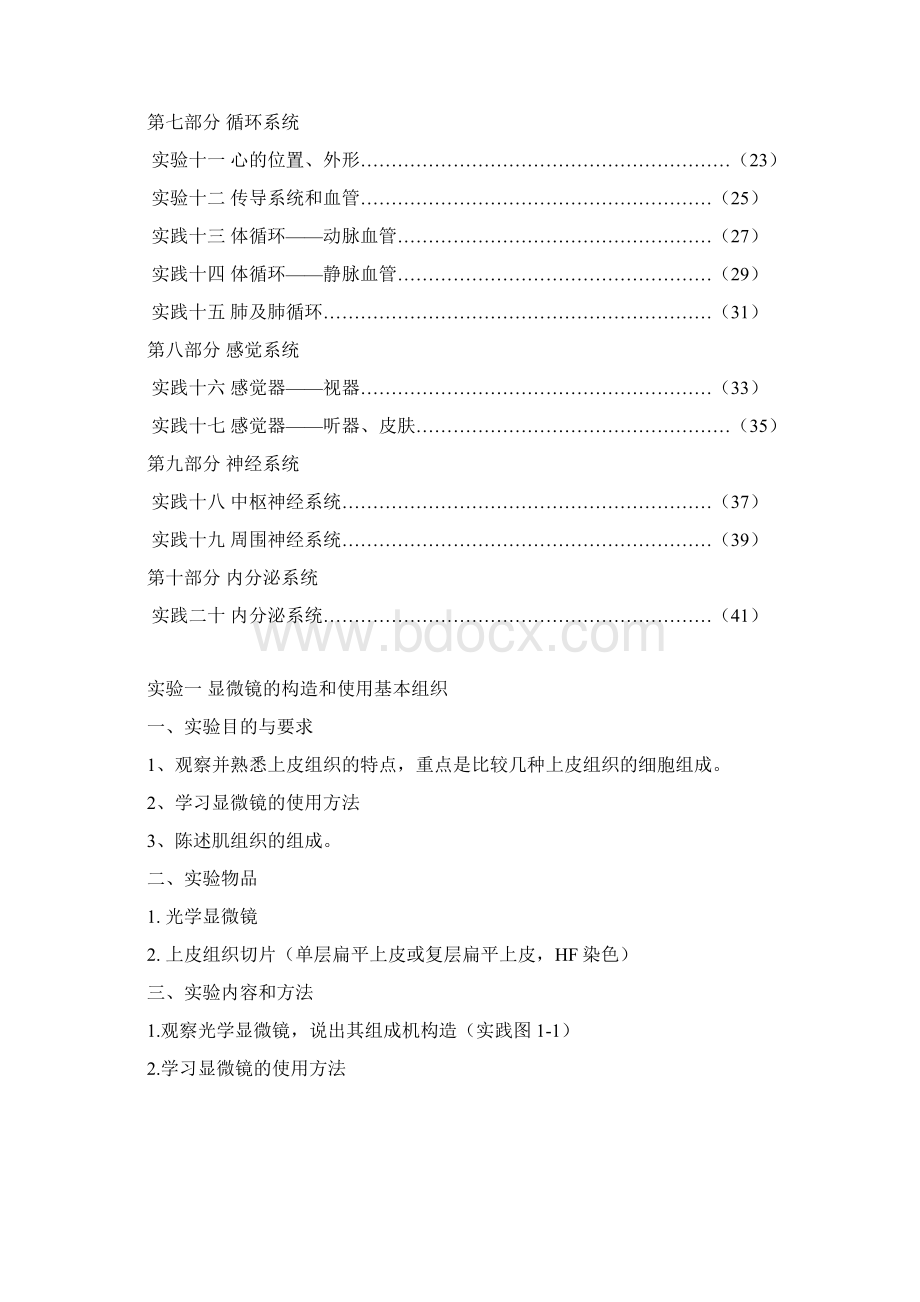 解剖学实验报告总Word文档下载推荐.docx_第3页