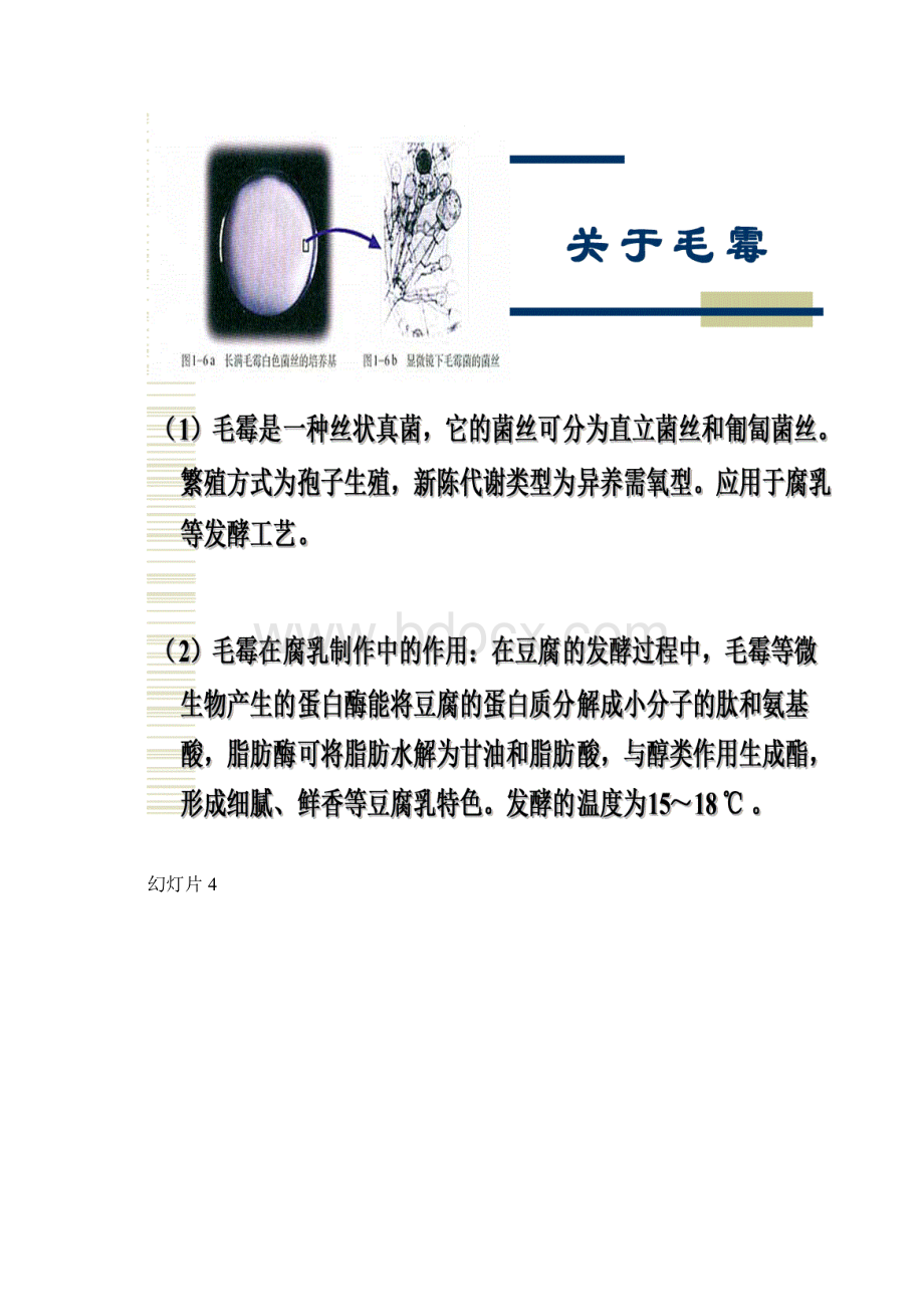 腐乳的制作word教程.docx_第3页