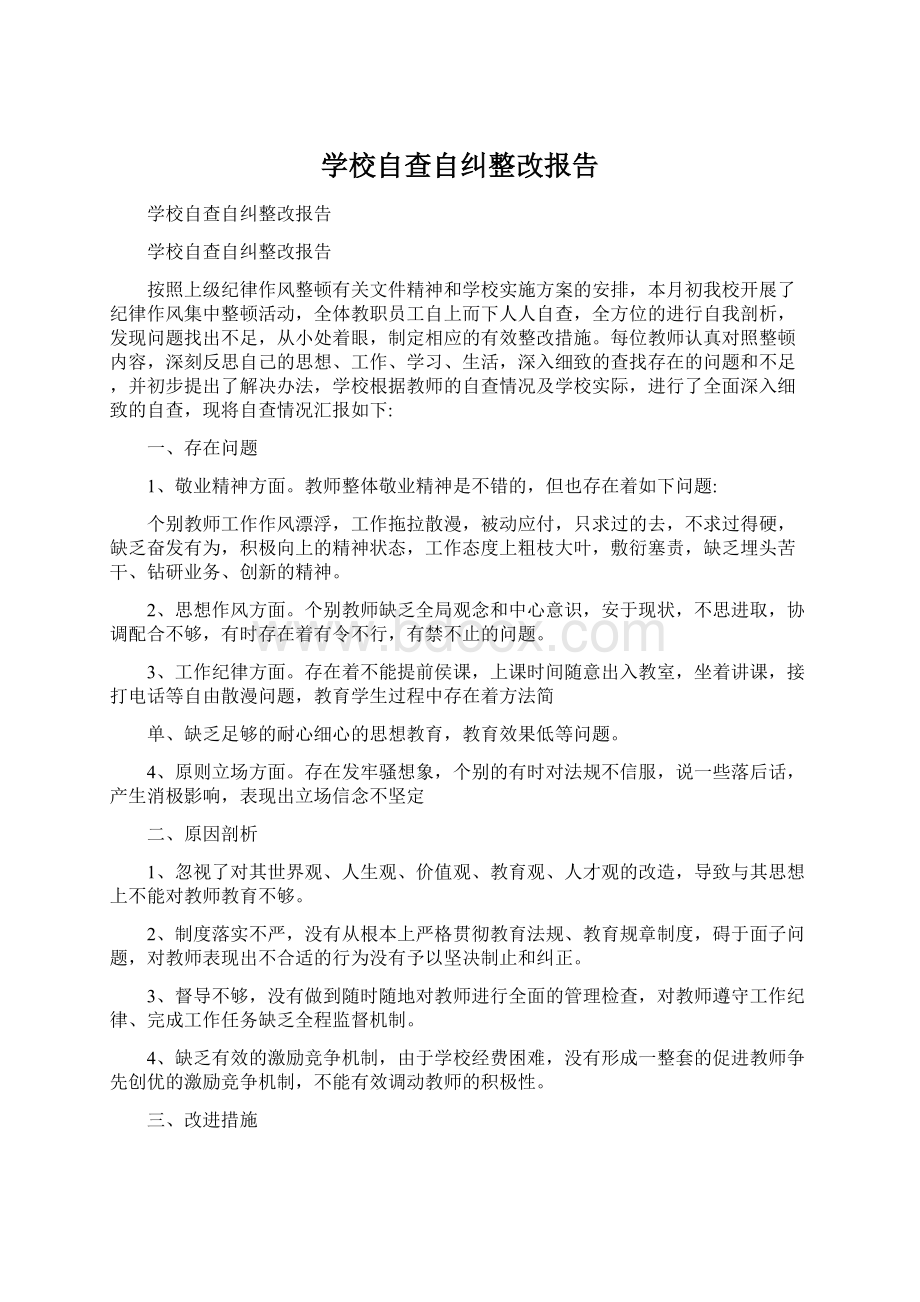 学校自查自纠整改报告文档格式.docx