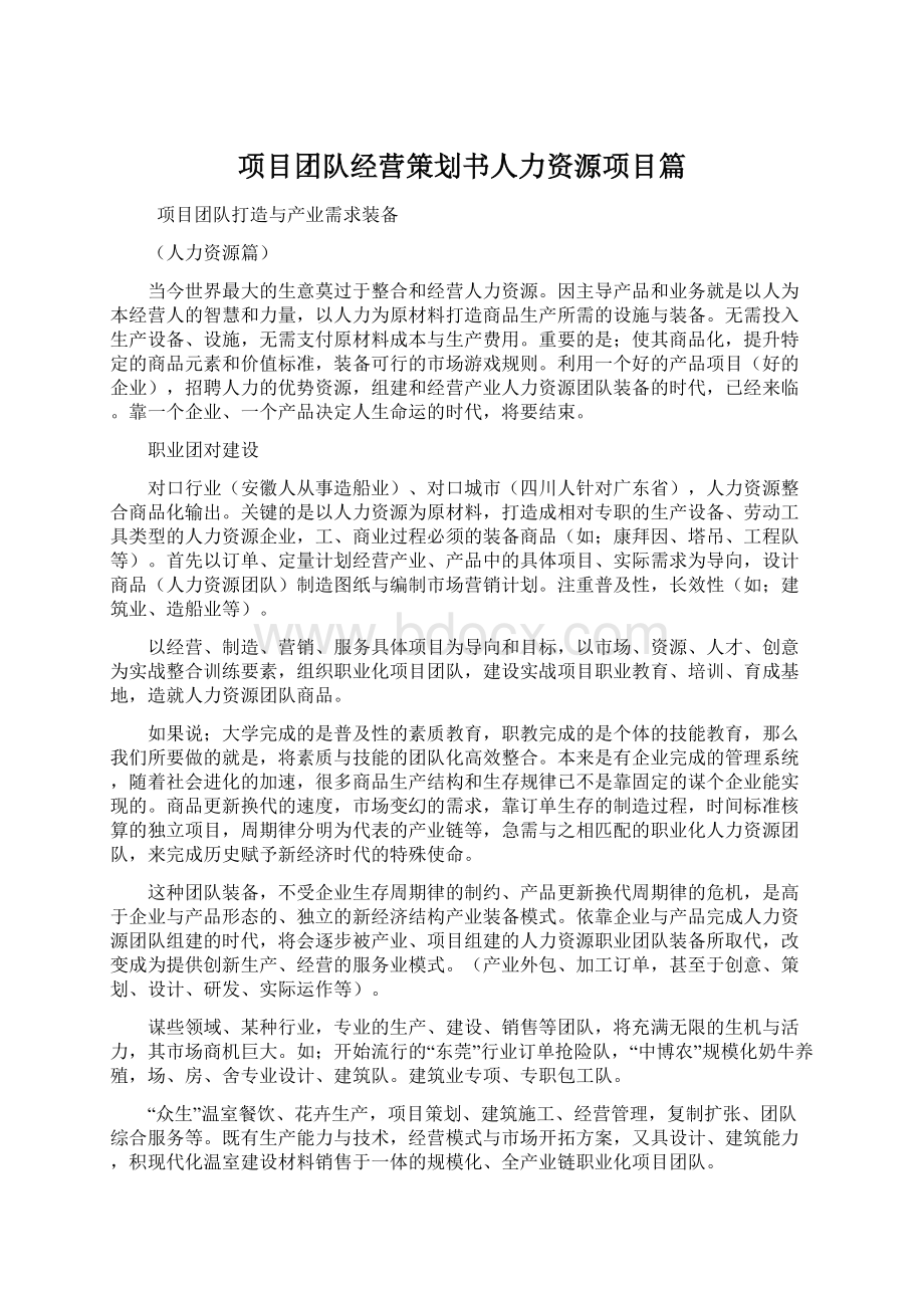 项目团队经营策划书人力资源项目篇.docx_第1页