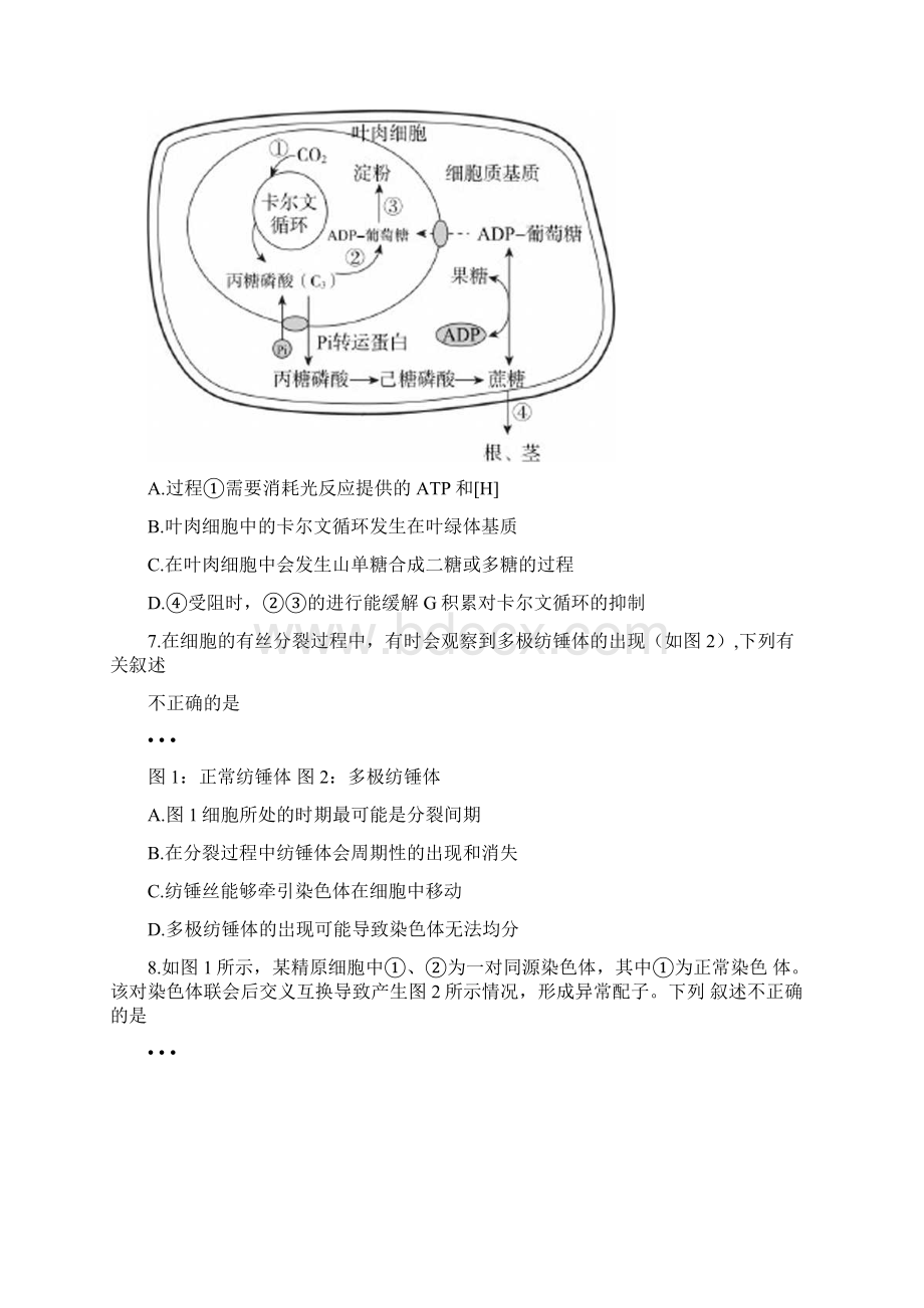 北京市东城区学年第一学期期末统一检测生物1.docx_第3页