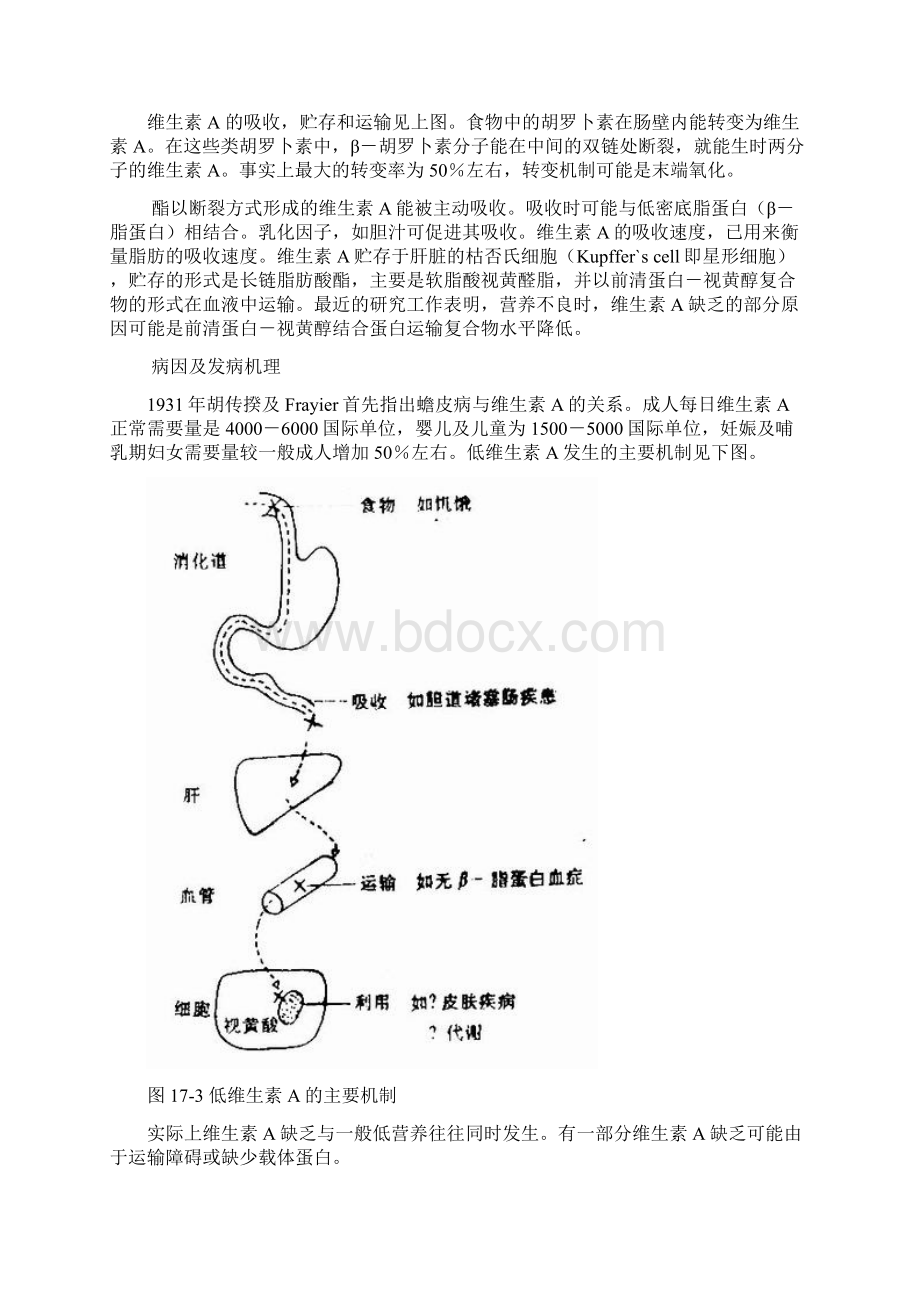 维生素缺乏皮肤病.docx_第2页