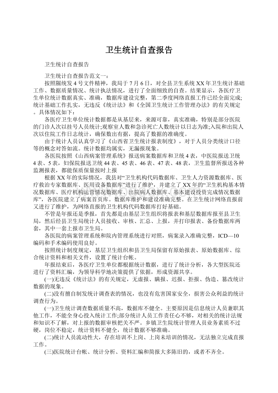 卫生统计自查报告Word文件下载.docx