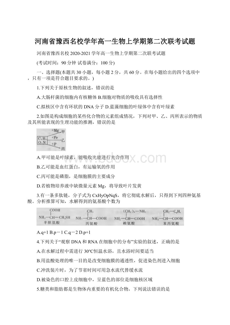 河南省豫西名校学年高一生物上学期第二次联考试题.docx