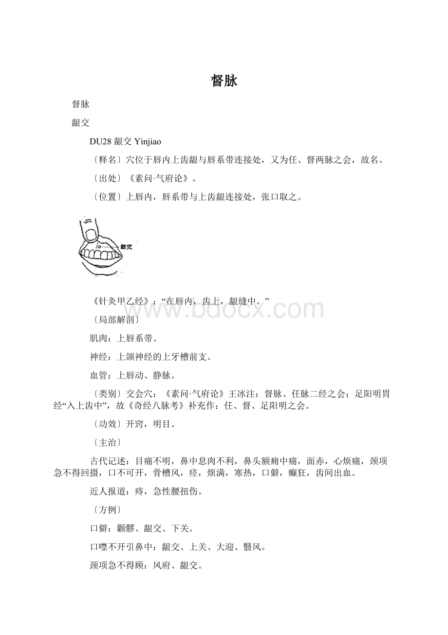 督脉Word文档格式.docx_第1页