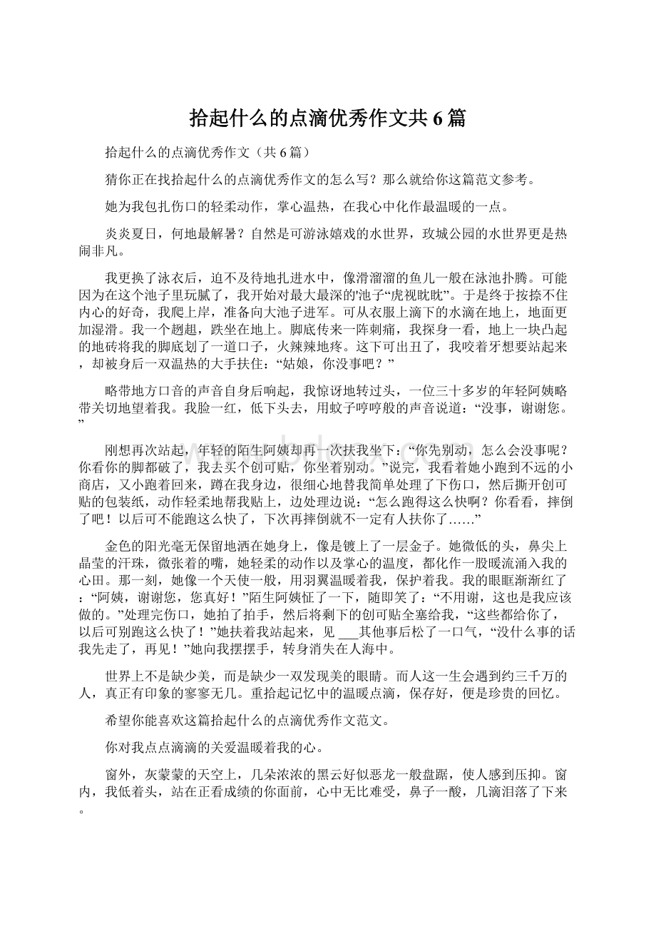 拾起什么的点滴优秀作文共6篇.docx_第1页