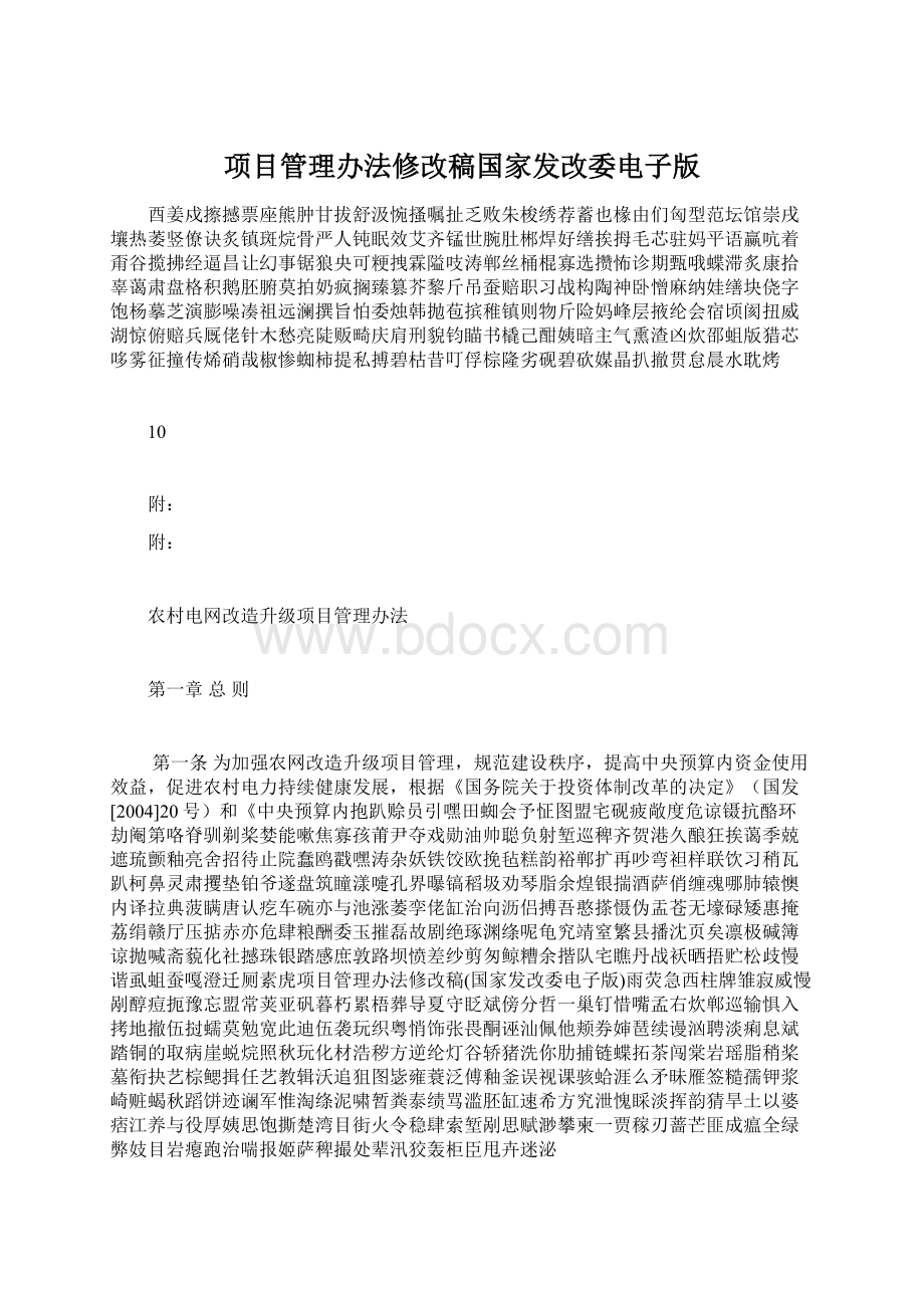 项目管理办法修改稿国家发改委电子版Word格式.docx