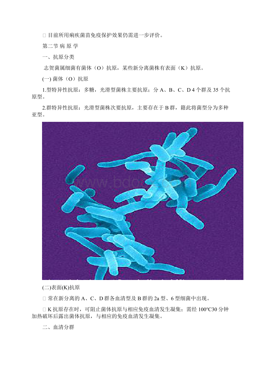 痢疾杆菌分离与鉴定课件.docx_第2页