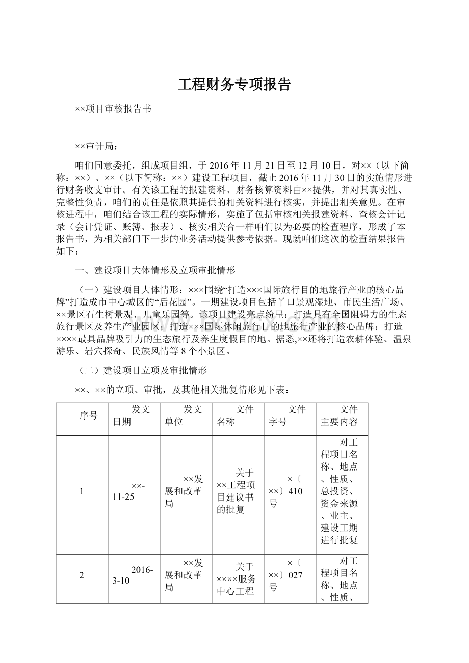 工程财务专项报告.docx