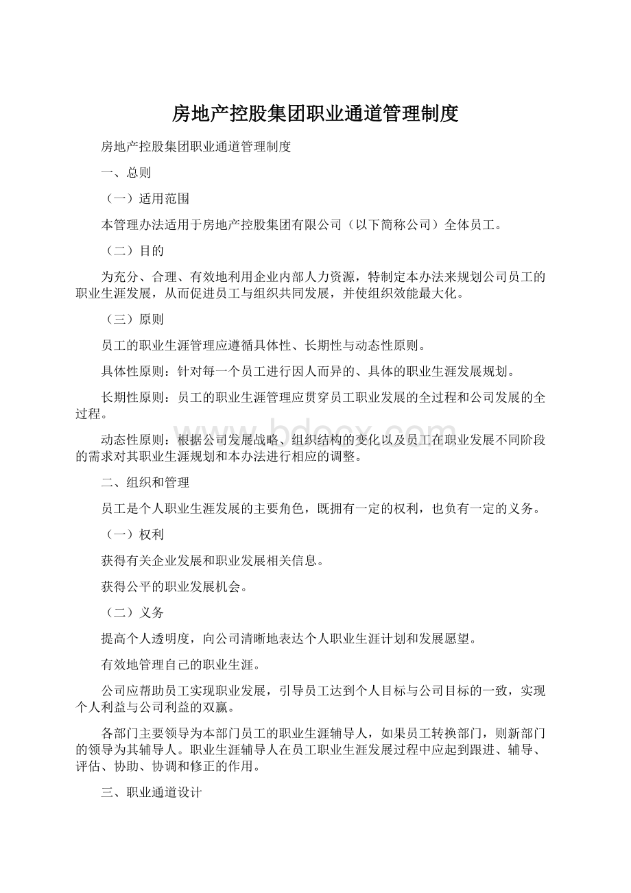 房地产控股集团职业通道管理制度.docx