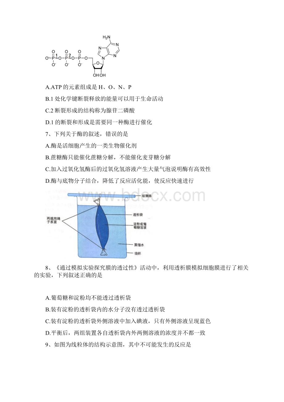 浙江省杭州市八校联盟学年高一生物下学期期中试题.docx_第2页