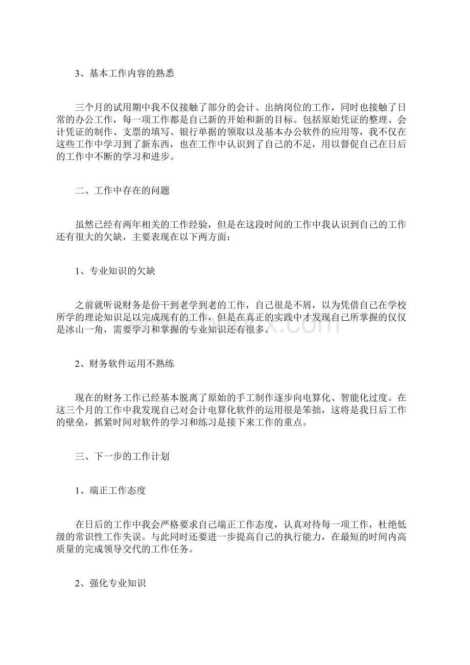 会计试用期工作总结和今后打算会计工作总结.docx_第2页