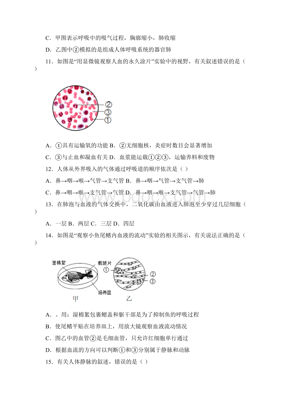 广东省佛山市顺德区学年七年级下学期期末生物试题.docx_第3页