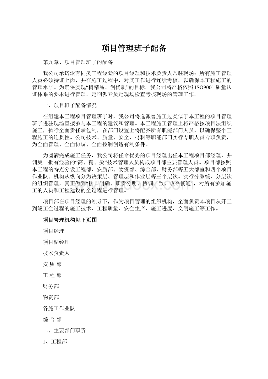 项目管理班子配备文档格式.docx