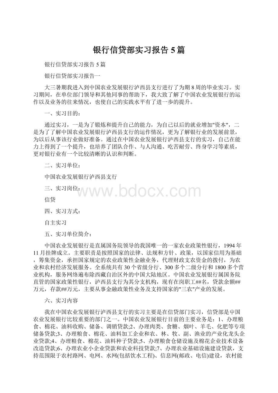 银行信贷部实习报告5篇.docx