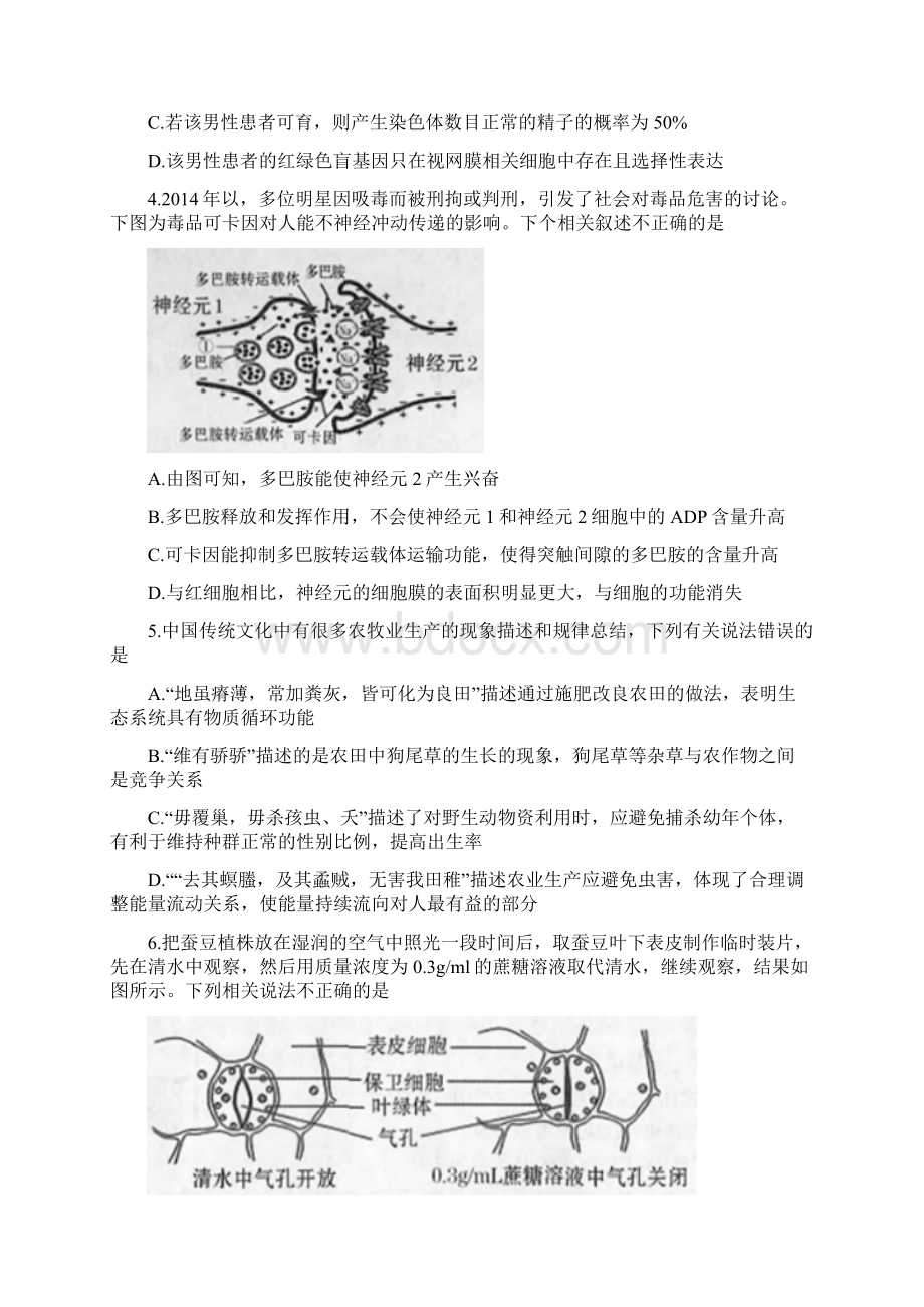 最新秋广西桂林市贺州市高三上学期期末联考理科综合试题有答案.docx_第2页