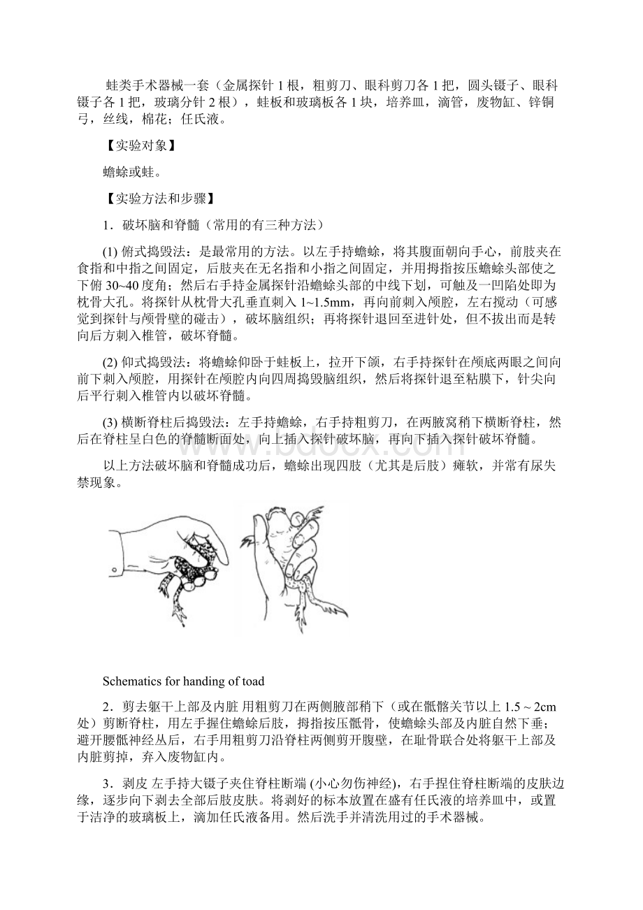 生理学实验报告B53.docx_第2页