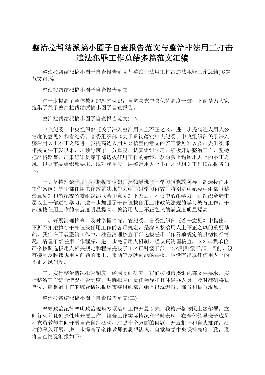 整治拉帮结派搞小圈子自查报告范文与整治非法用工打击违法犯罪工作总结多篇范文汇编Word格式文档下载.docx_第1页