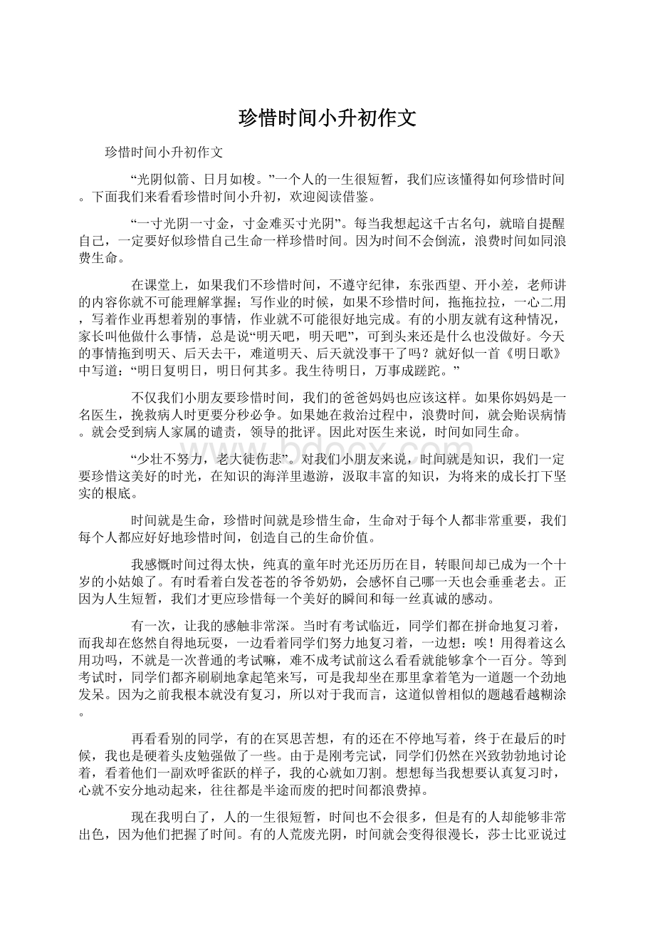 珍惜时间小升初作文Word文件下载.docx