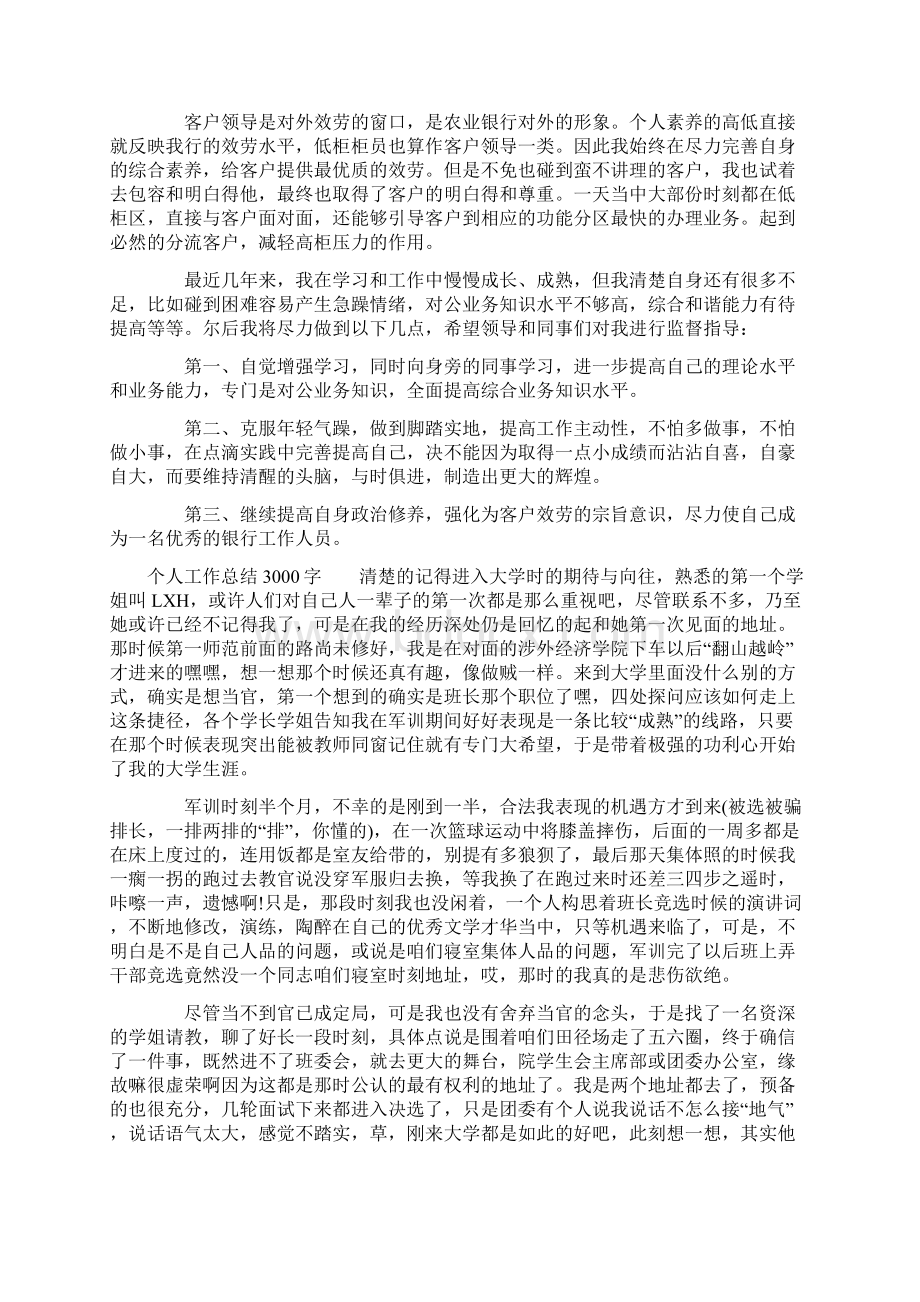 个人工作总结3000字Word文件下载.docx_第2页