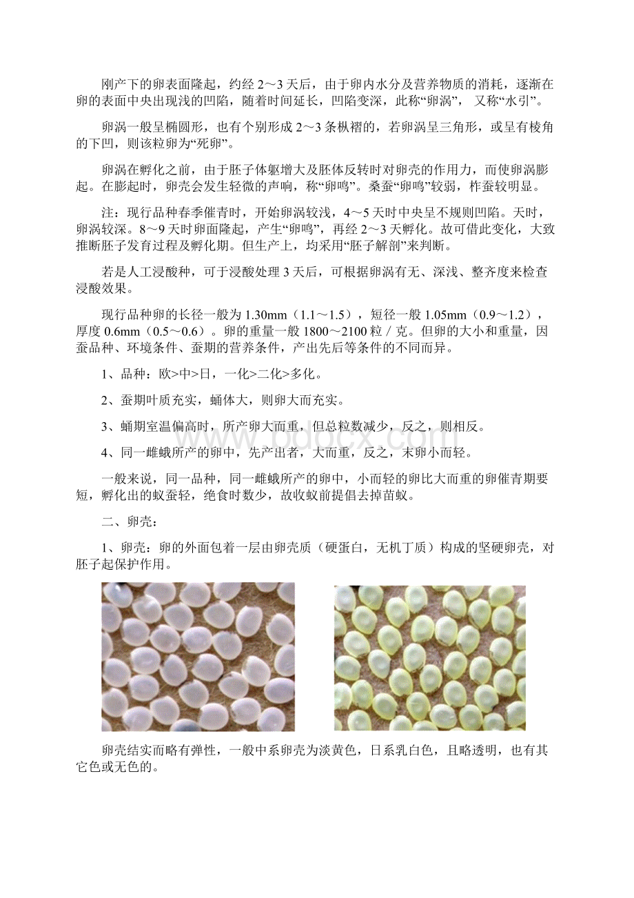 最新家蚕的变态发育.docx_第3页