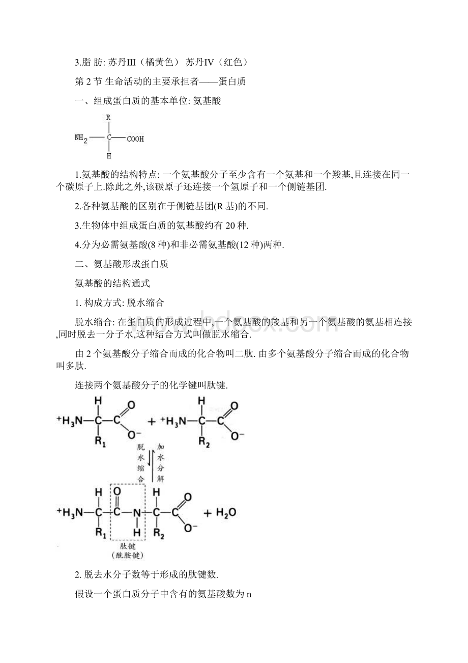 人教版高中生物必修1复习提纲0Word格式.docx_第3页