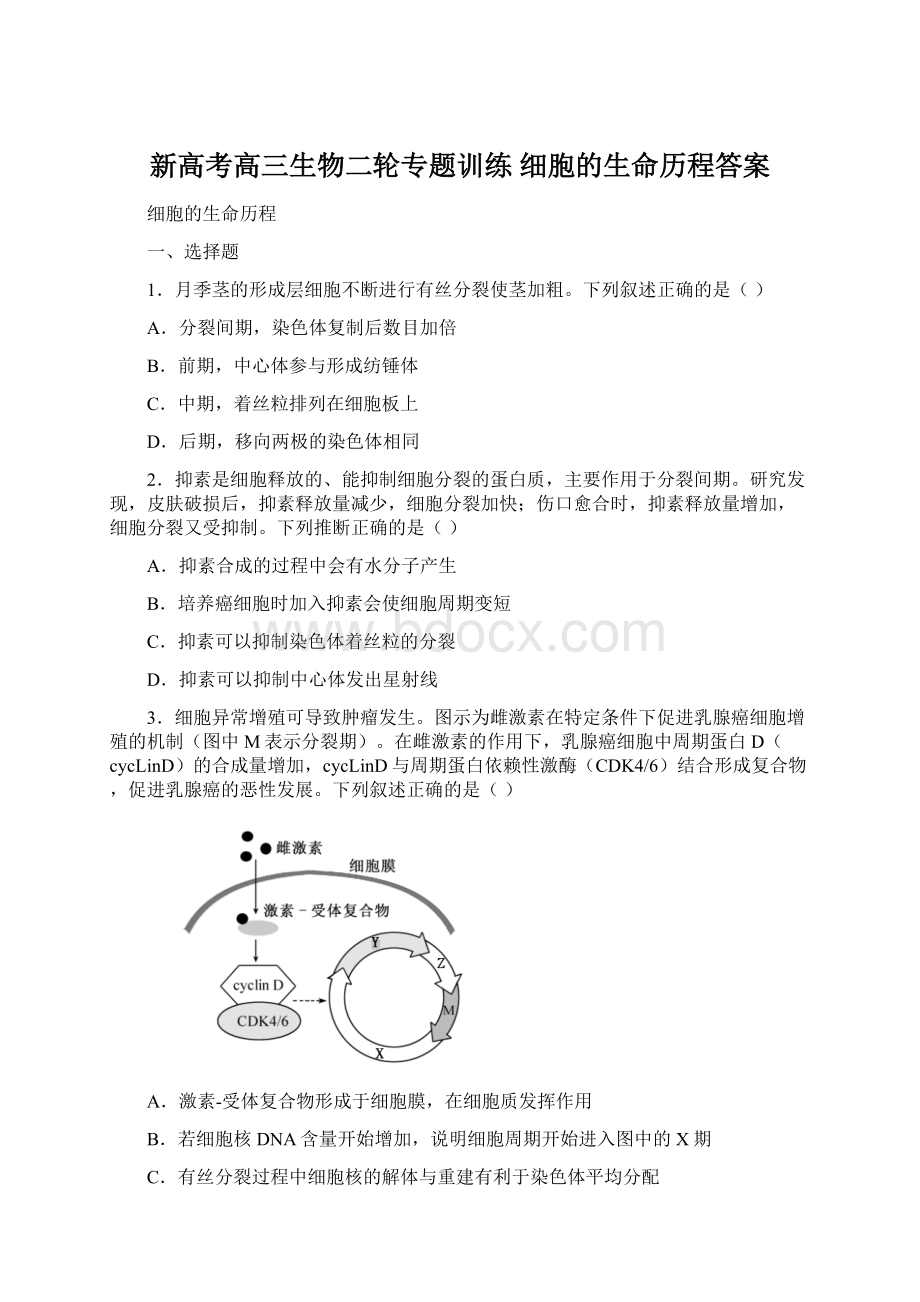 新高考高三生物二轮专题训练 细胞的生命历程答案Word下载.docx_第1页