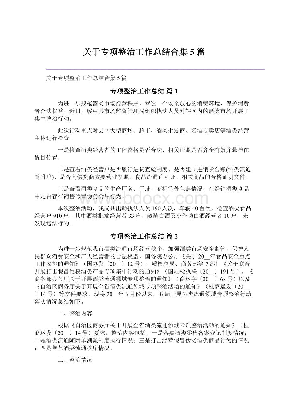 关于专项整治工作总结合集5篇.docx_第1页