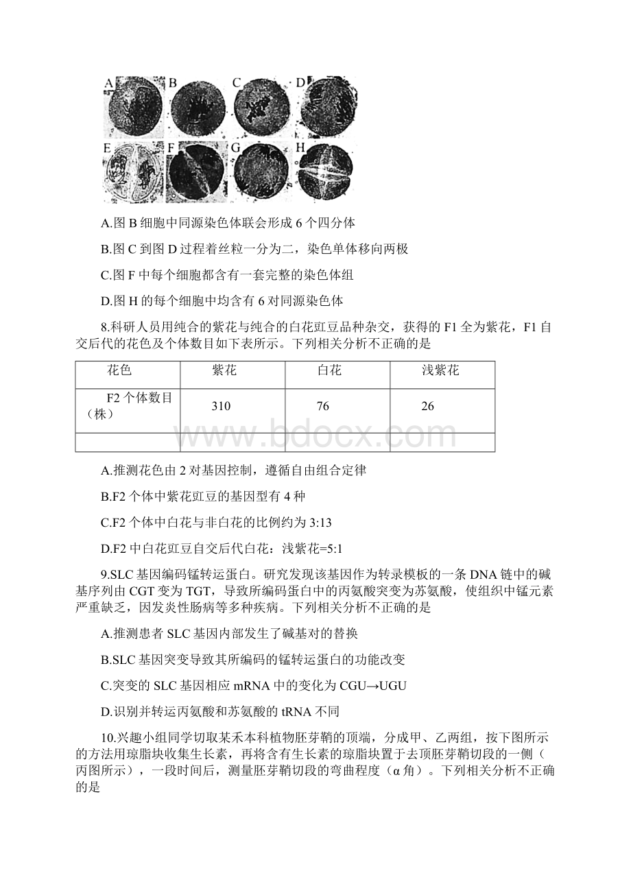 北京市海淀区届高三生物上学期期末练习试题.docx_第3页