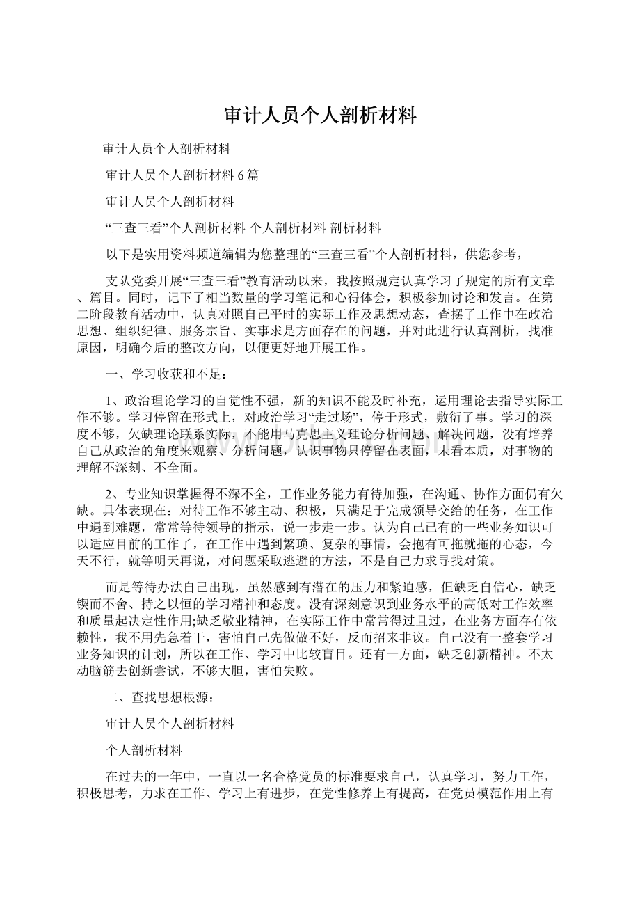 审计人员个人剖析材料Word下载.docx