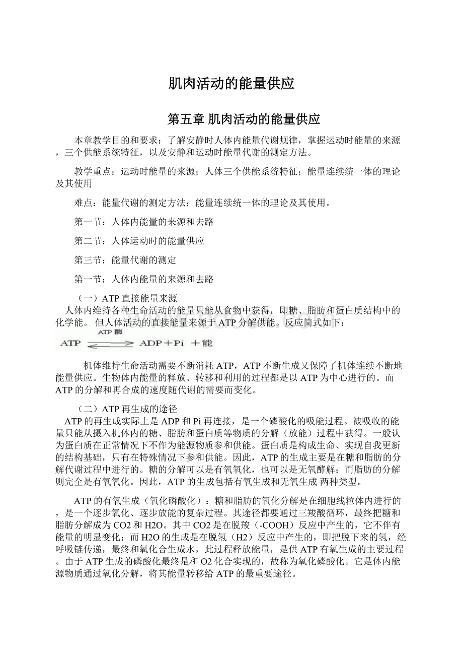 肌肉活动的能量供应Word格式文档下载.docx_第1页