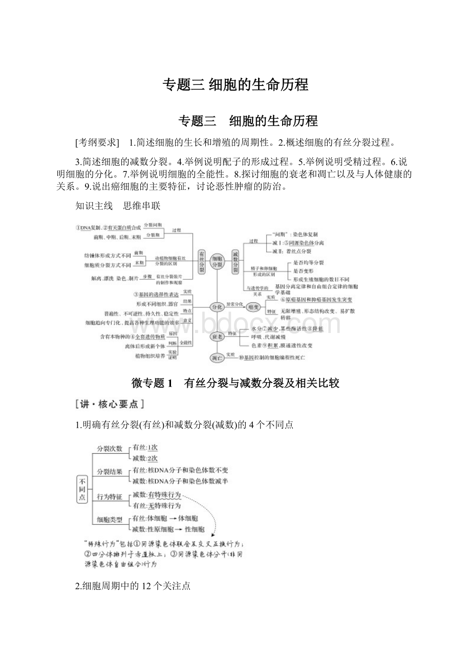 专题三 细胞的生命历程Word文档格式.docx