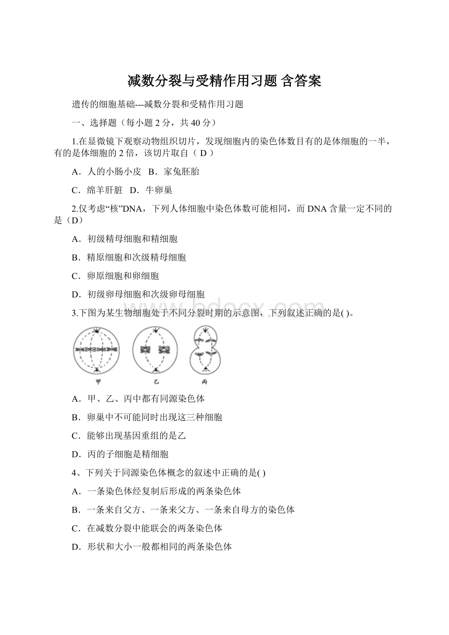 减数分裂与受精作用习题含答案.docx_第1页