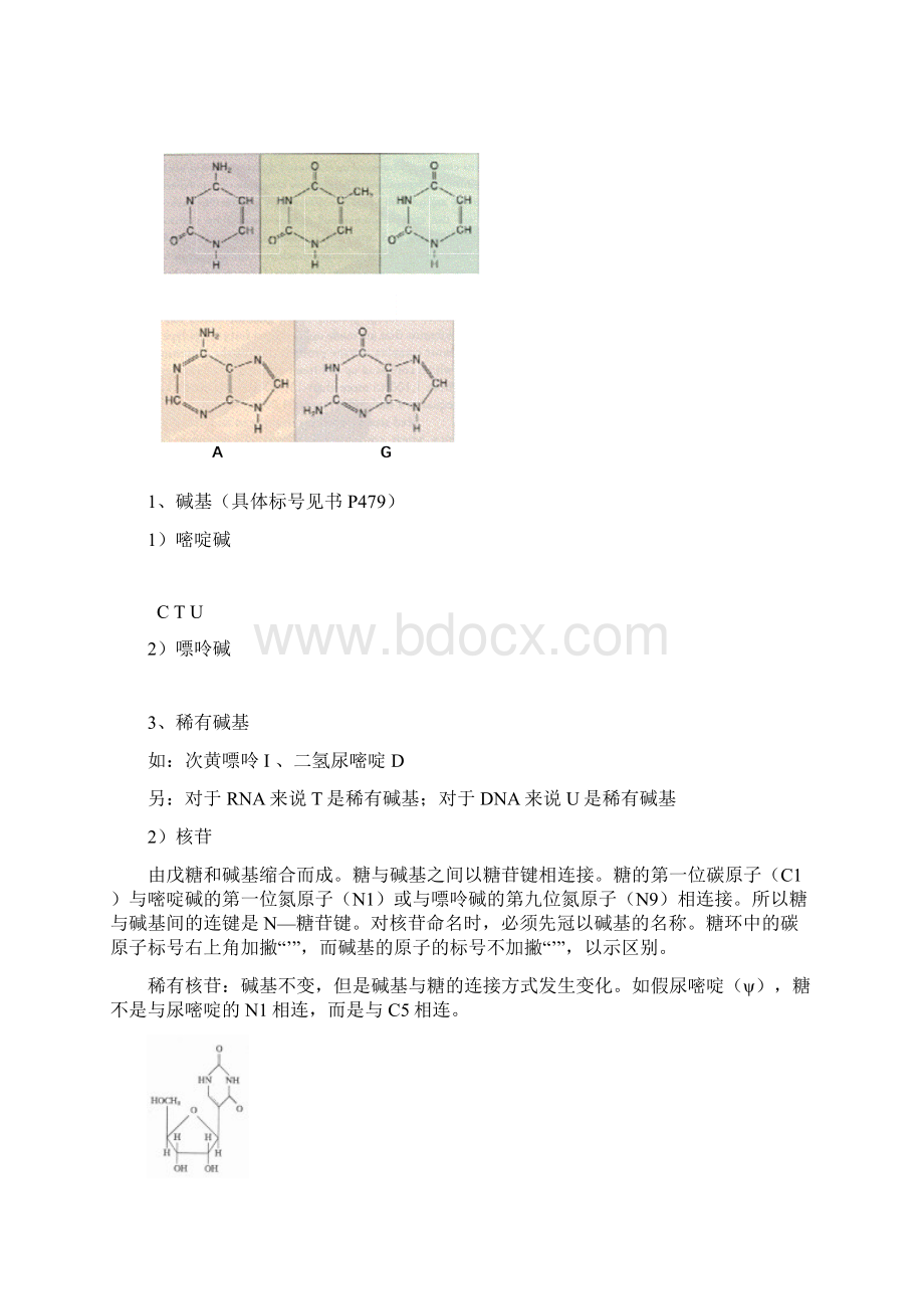 生物化学下册期末考试复习资料.docx_第3页