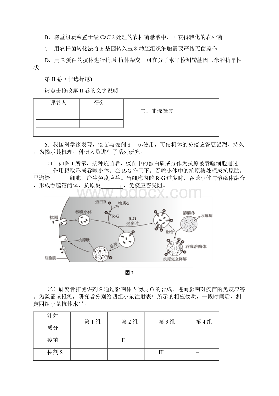 海淀零模 生物Word下载.docx_第3页