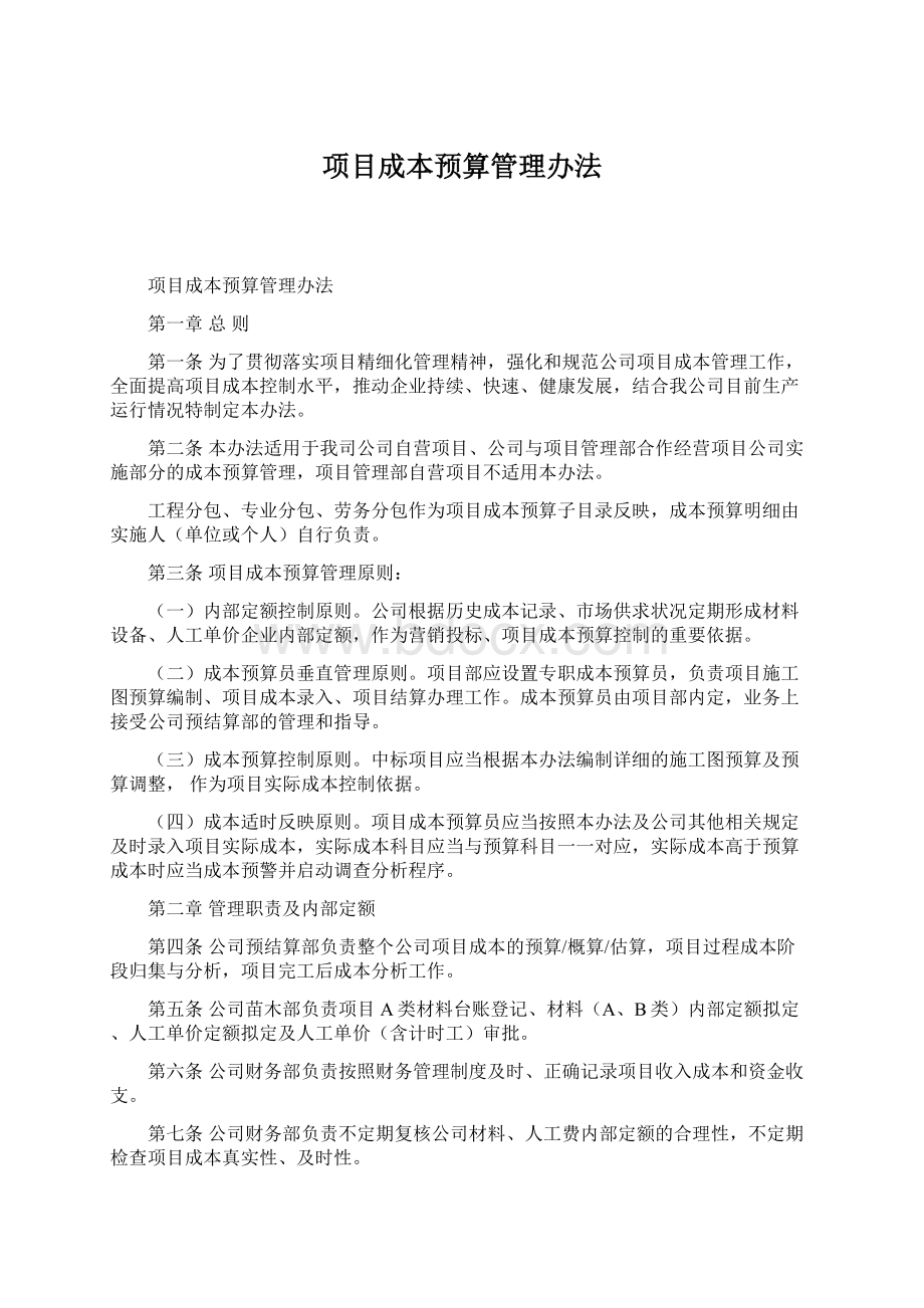 项目成本预算管理办法Word格式.docx