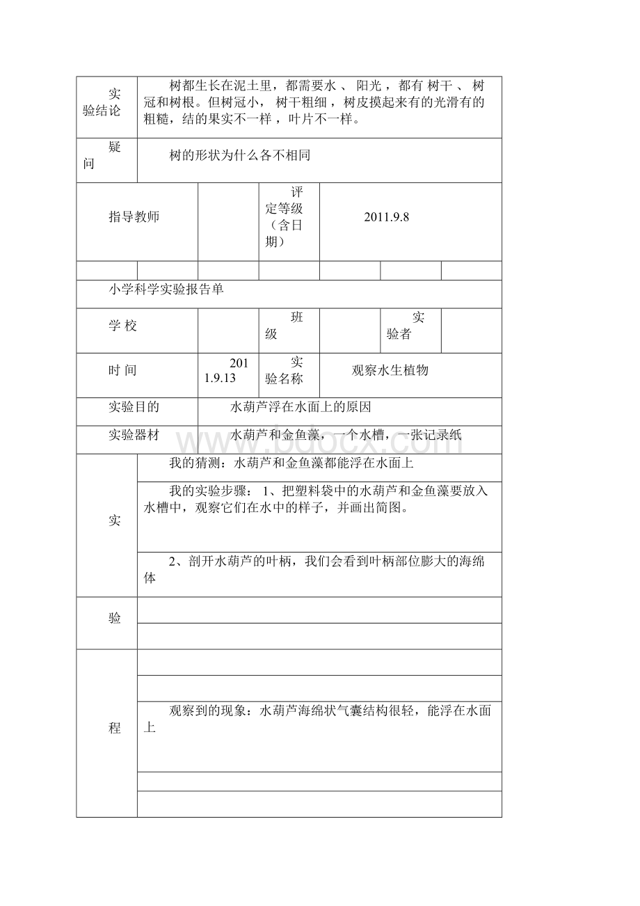 人教版三年级上科学实验报告.docx_第3页