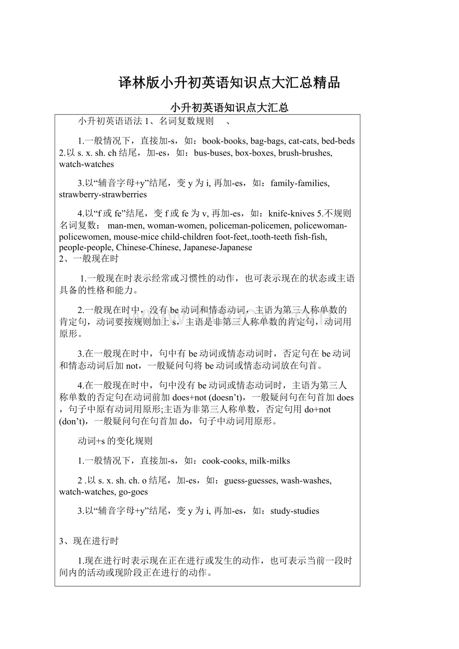 译林版小升初英语知识点大汇总精品.docx