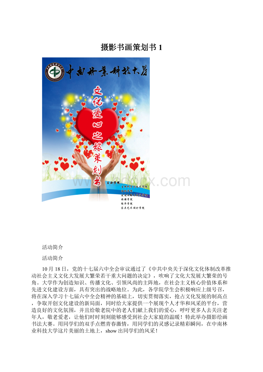 摄影书画策划书1.docx_第1页